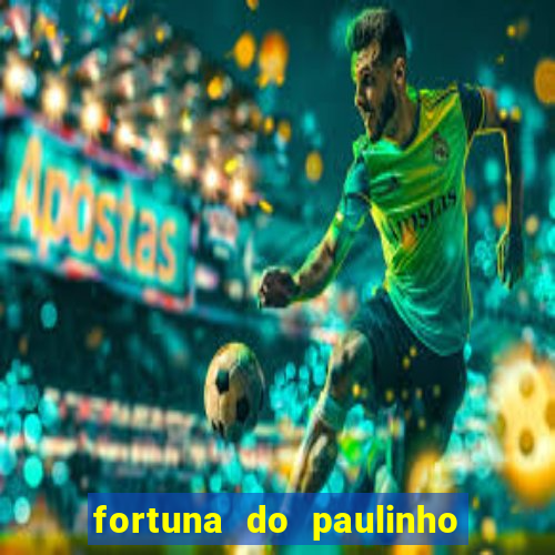 fortuna do paulinho do roupa nova